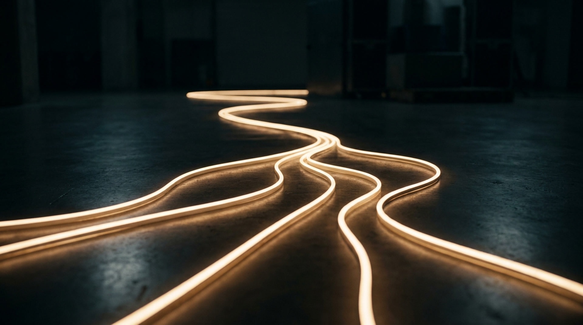 Lichtspuren verzweigen sich in viele Richtungen